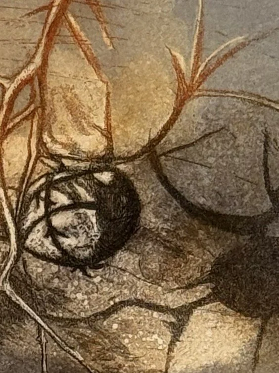 Detailed view of Pomegranate, Syros 4/25 by Artist Noonie Minogue, a stunning etching and mono print.