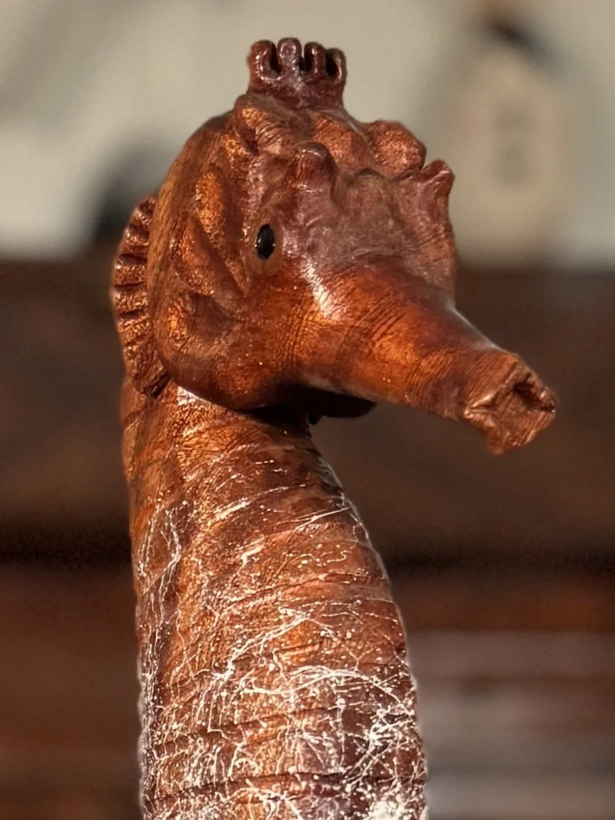 Skinny Seahorse, a wooden sculpture by Julien Hipeau. Close-up view of the head, sealed with varnish to highlight the grain and texture.