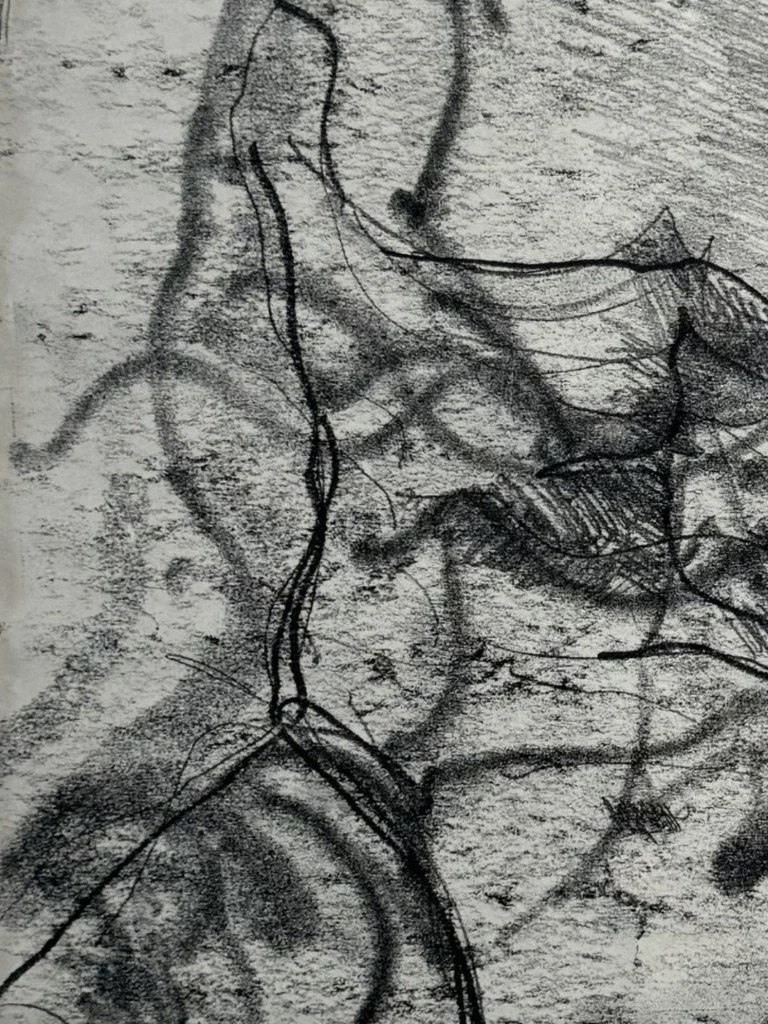 Belvedere Torso (5) by Alla Samarina, close up of a monoprint inspired by the much admired fragmentary ancient sculpture.