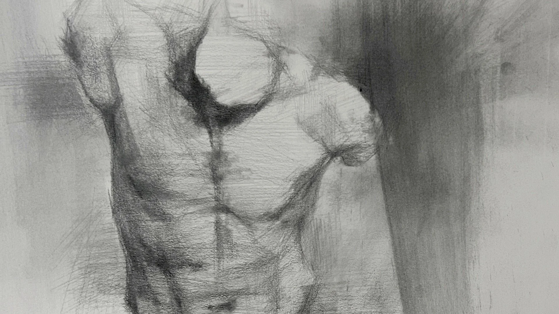 Torso cast study drawing by Artist Bran Sivas