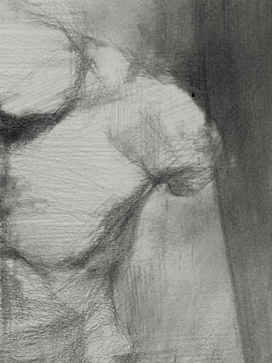 Right side closeup of Torso cast study, an original drawing by Artist Bran Sivas, using graphite and charcoal on paper.