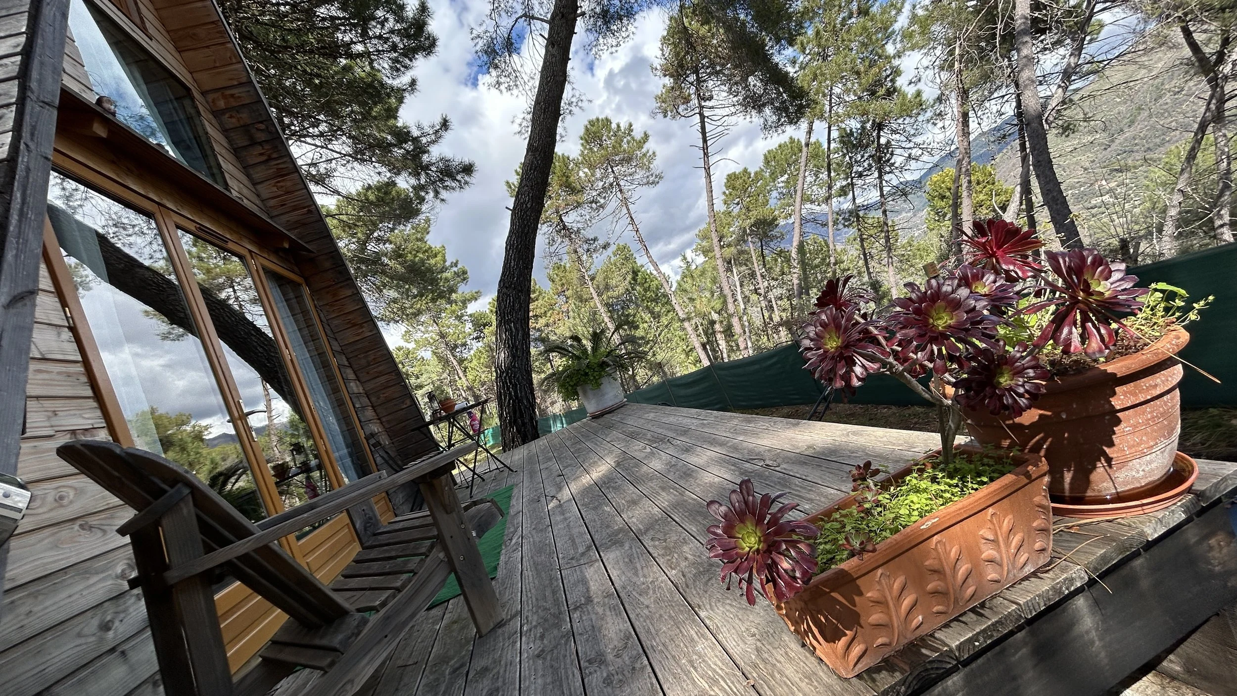Terrasse en bois avec des pots de fleurs, vue sur une forêt de pins sous un ciel nuageux