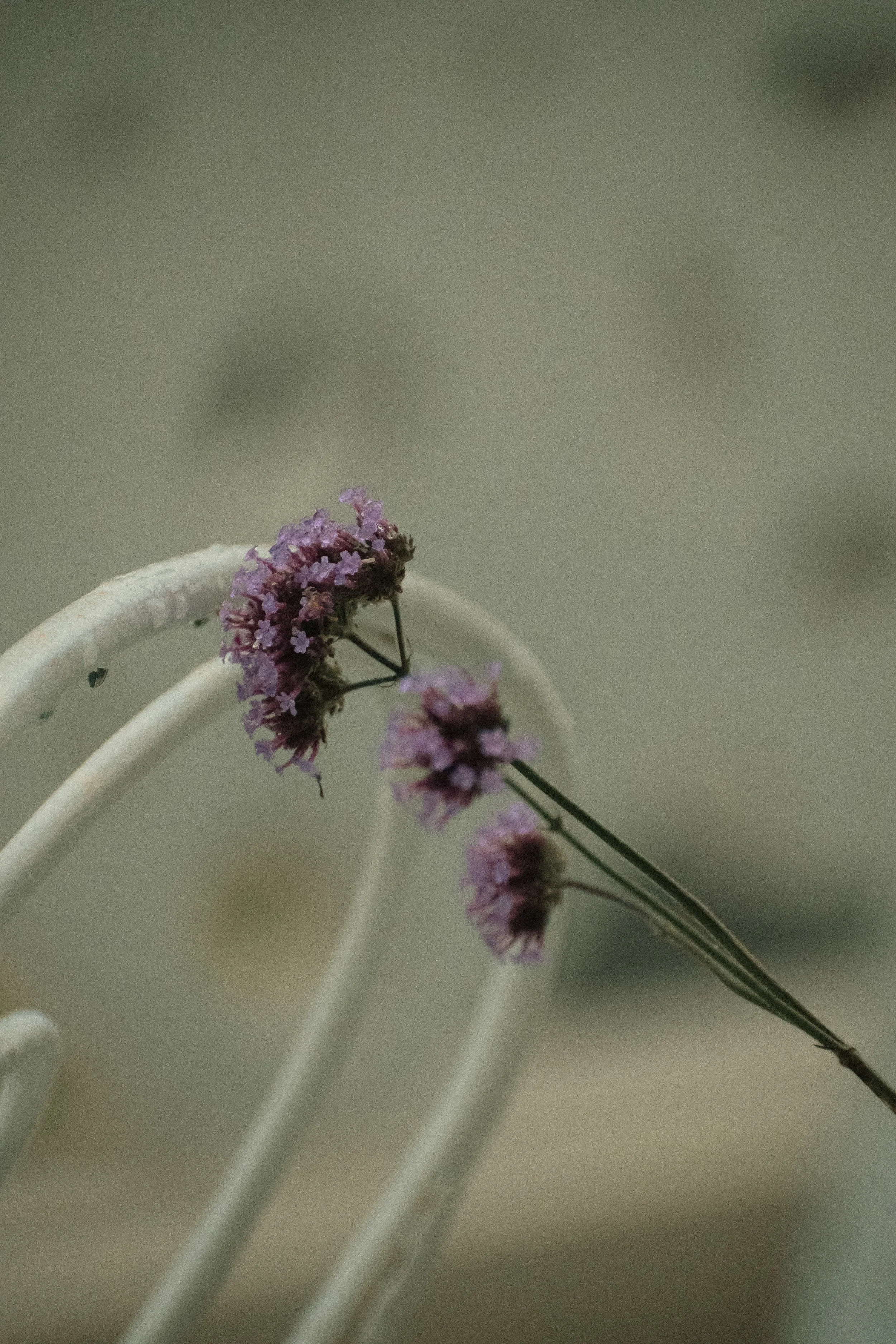 _DSC9493.jpg