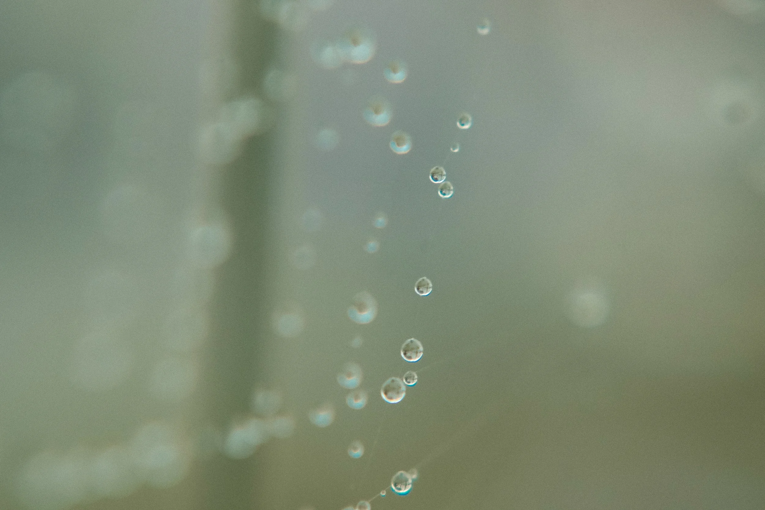 _DSC9594.jpg
