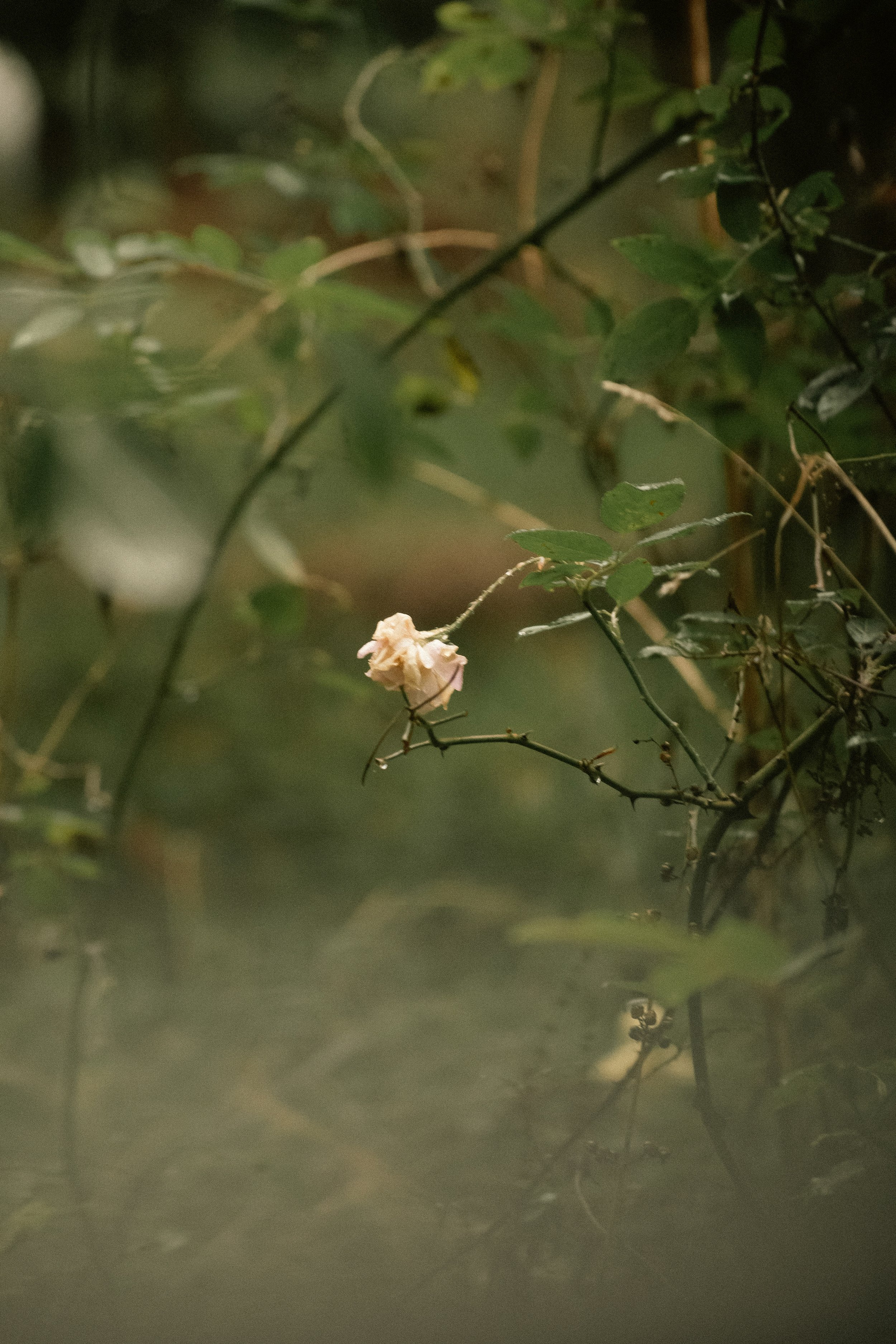 _DSC9634.jpg