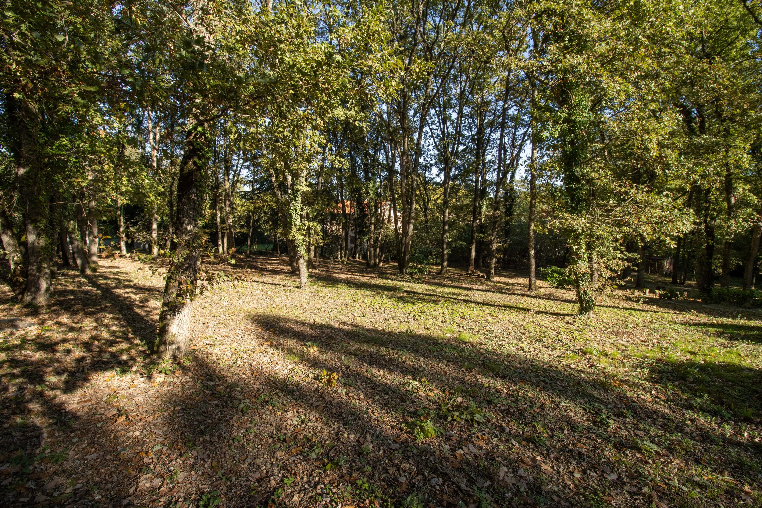 terrain brugues 1-min.jpeg