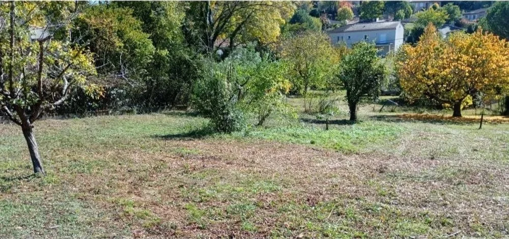 Bannière montastruc-min.jpg