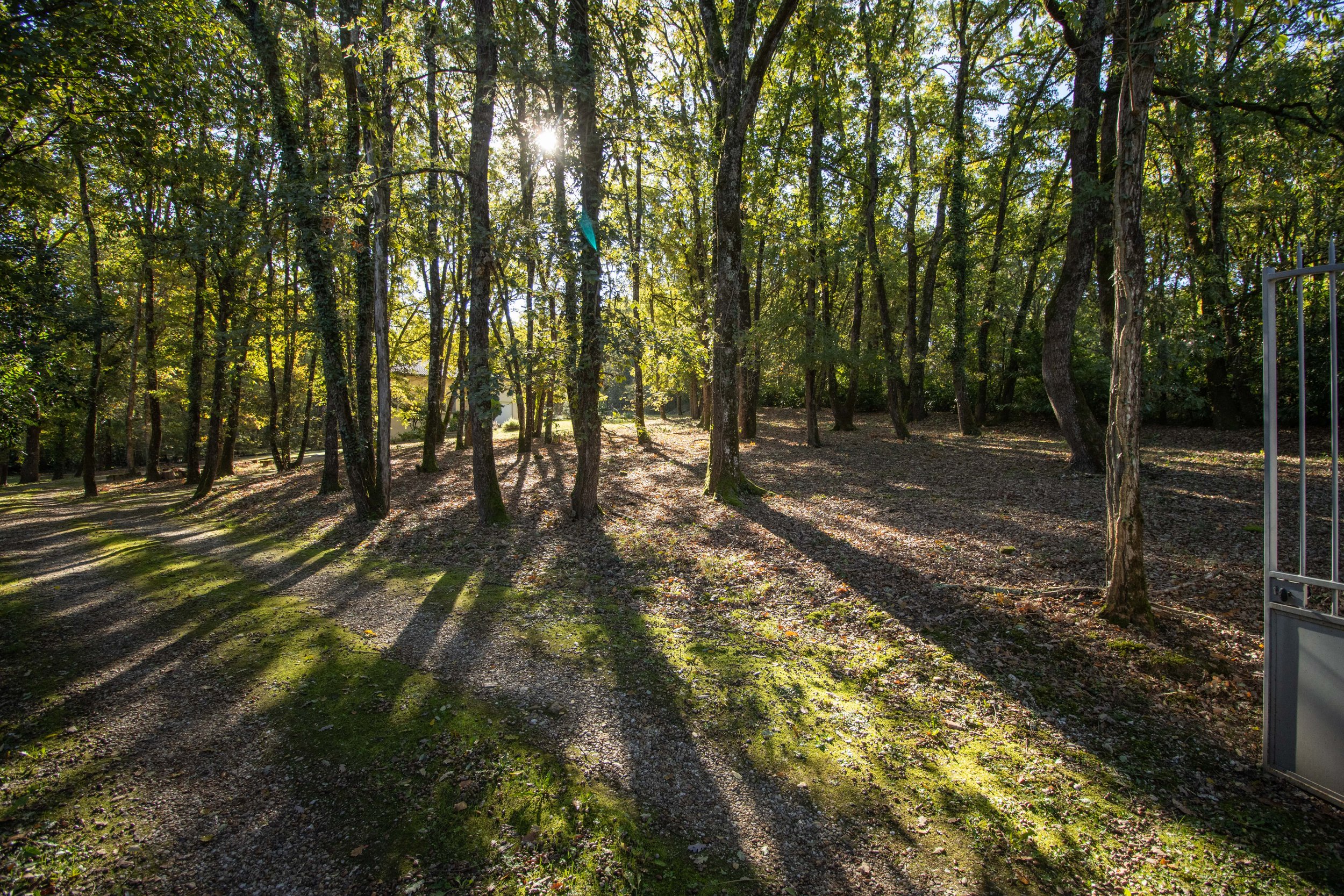 terrain brugues 2-min.jpeg