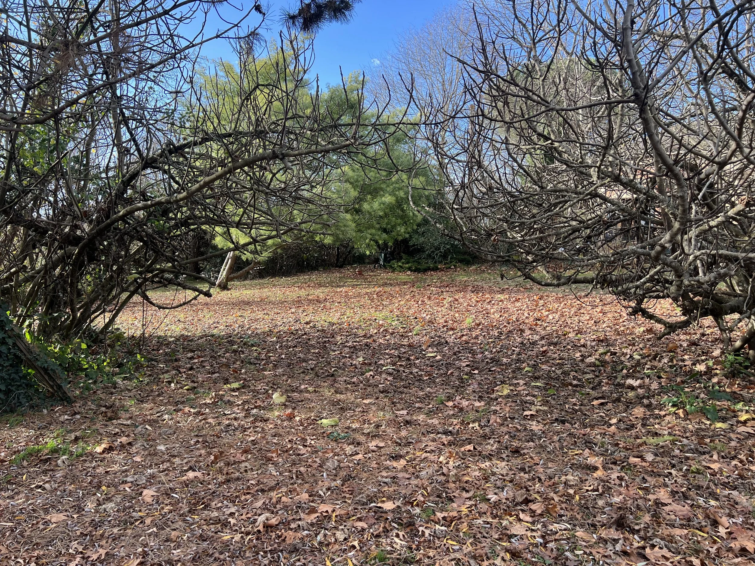 Terrain 800 m2 rouffiac 150 000 €