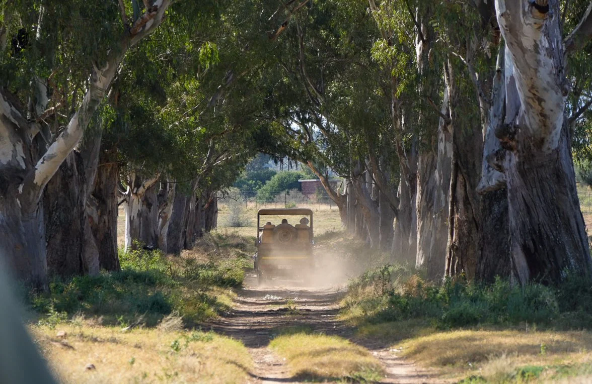 Shamwari Conservation Experience