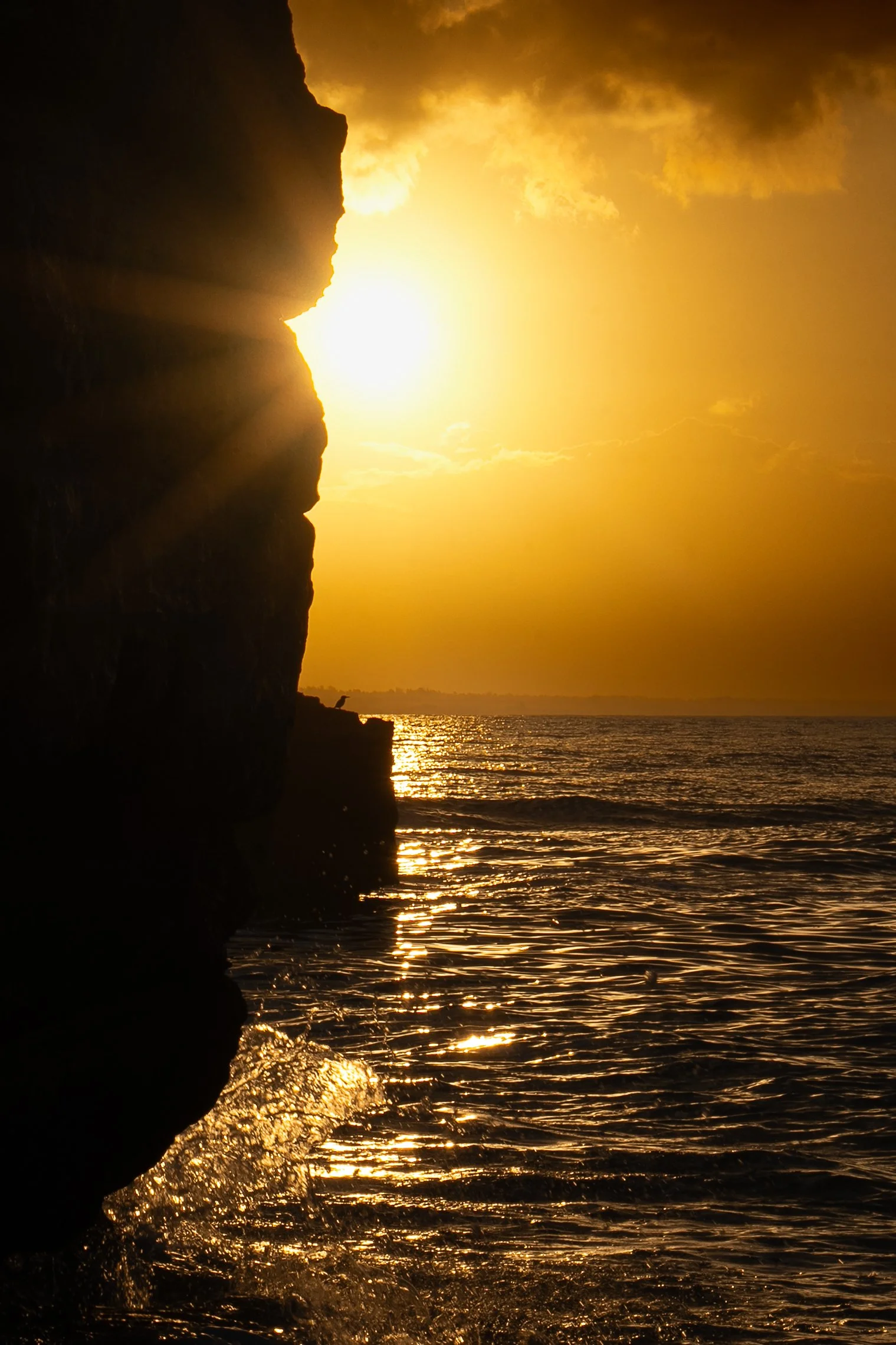 Kingfisher's Breakfast Spot