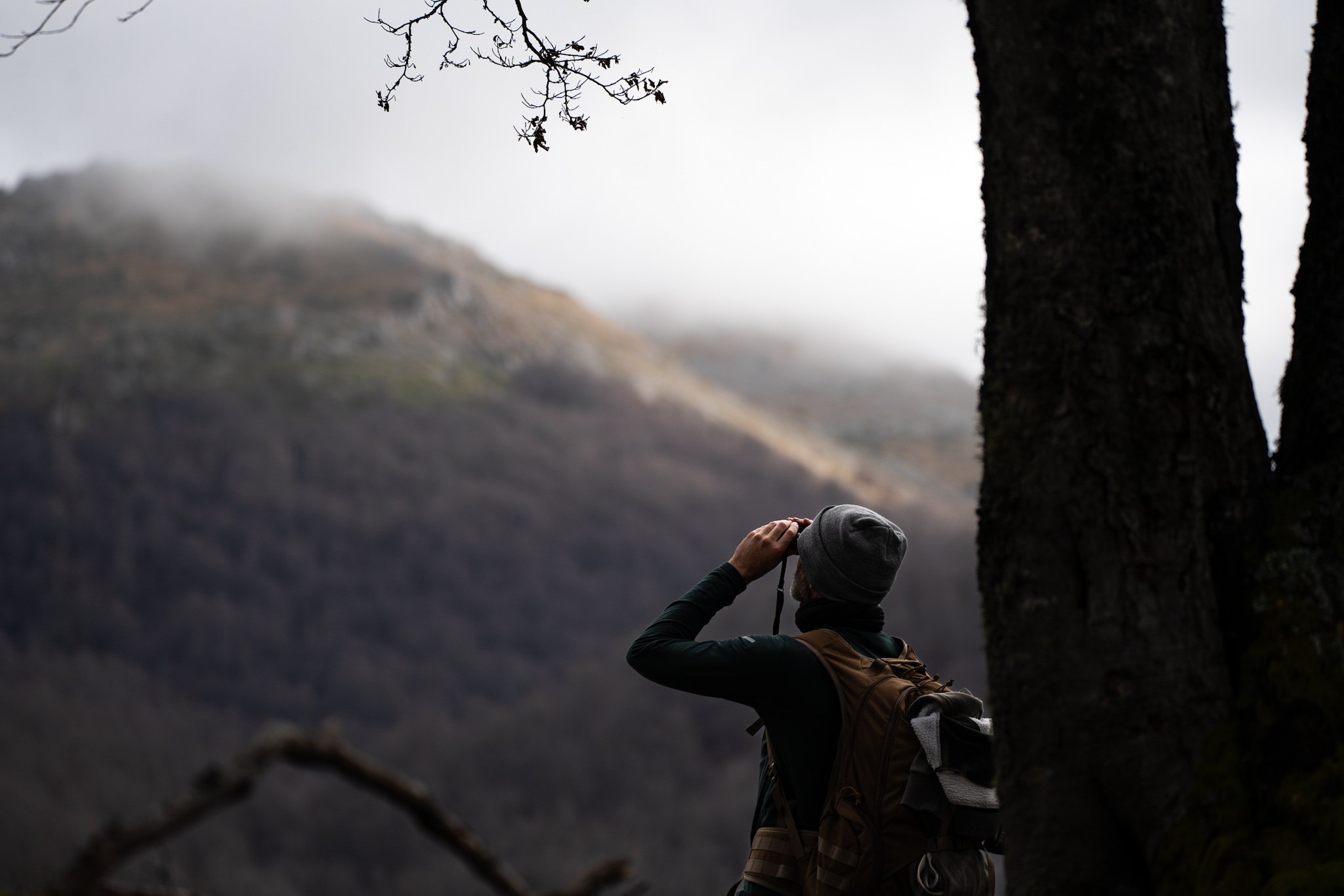 MOYO Training Foundation