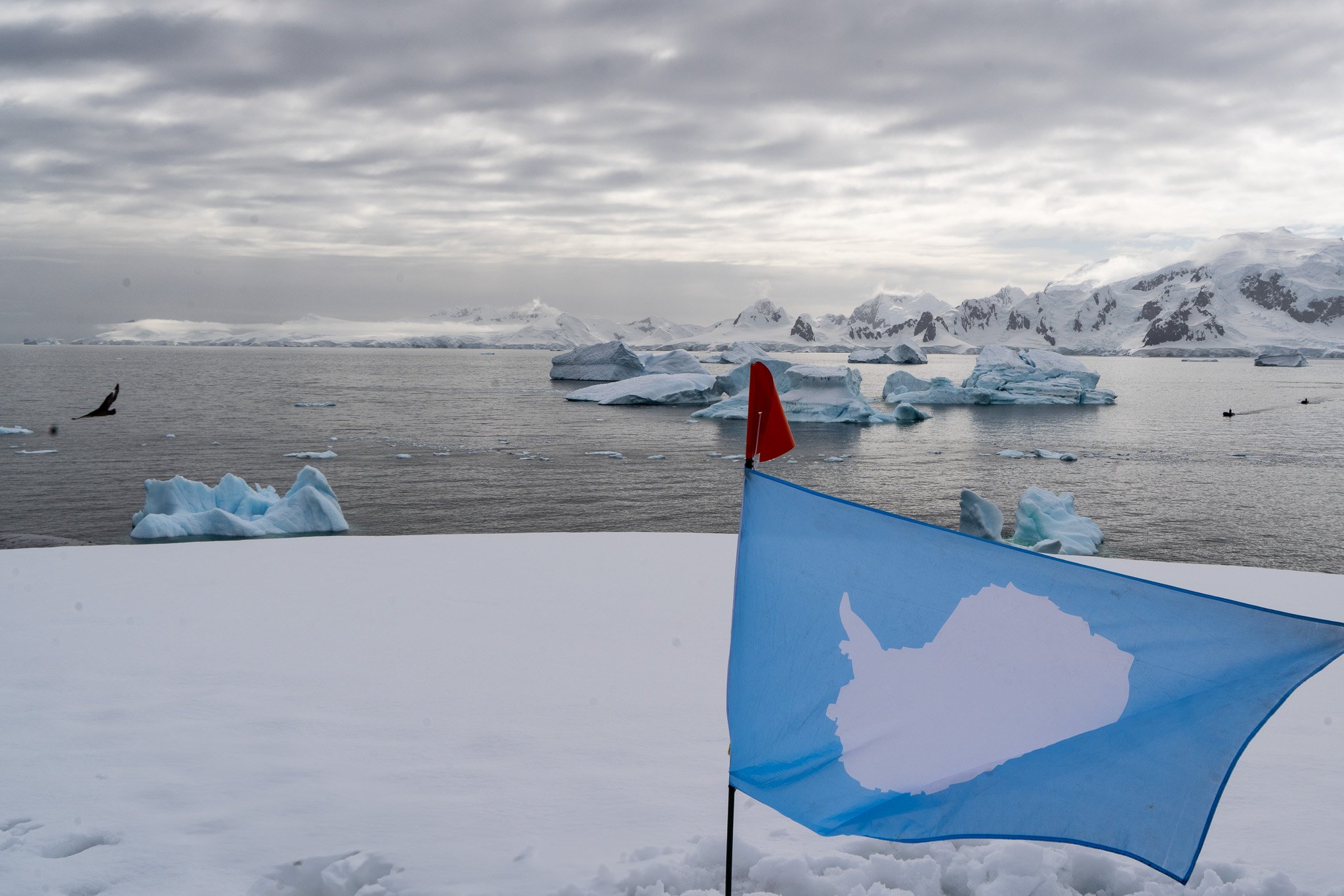 Antarctic Ambassadors