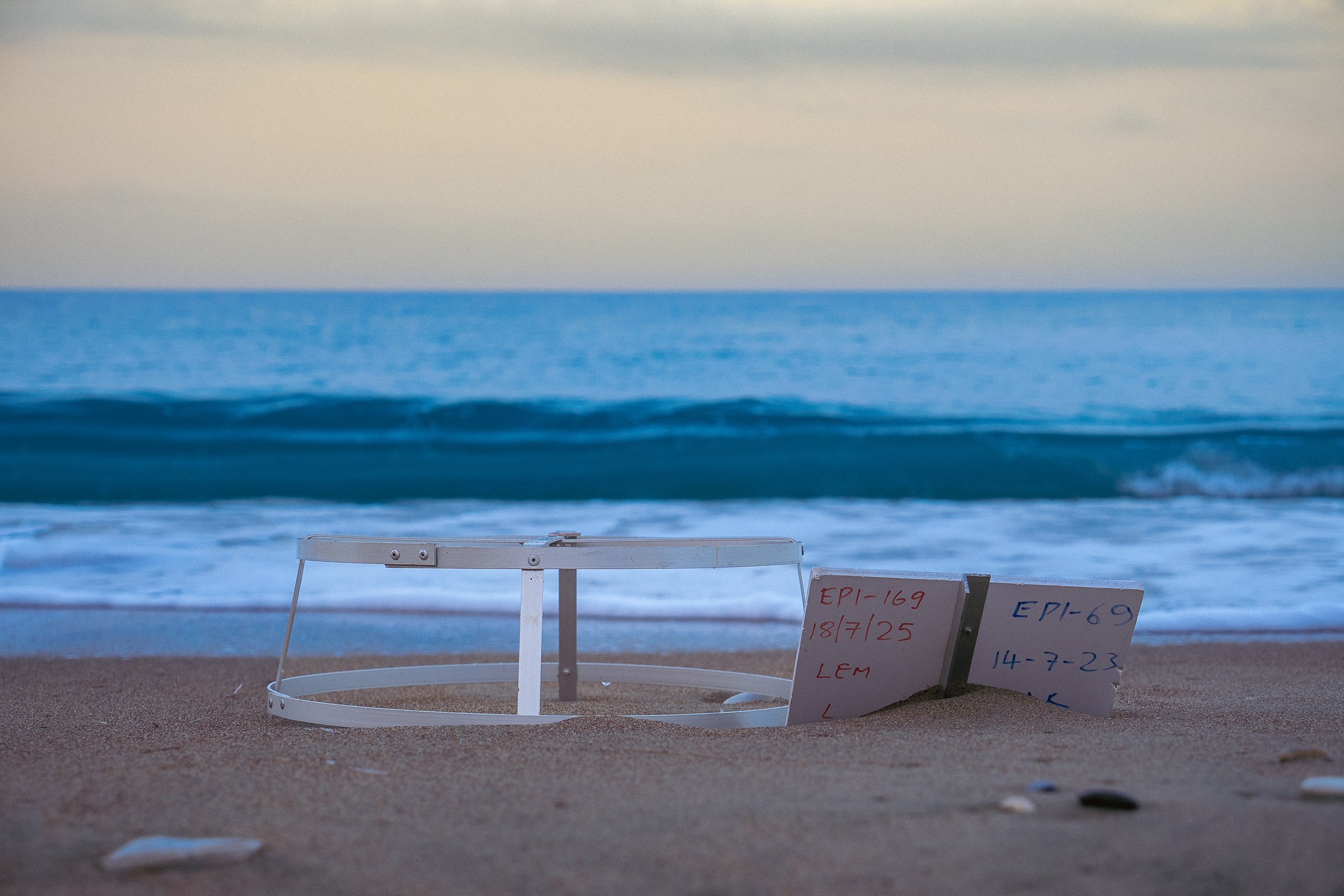 TurtleWatch: A Fighting Chance