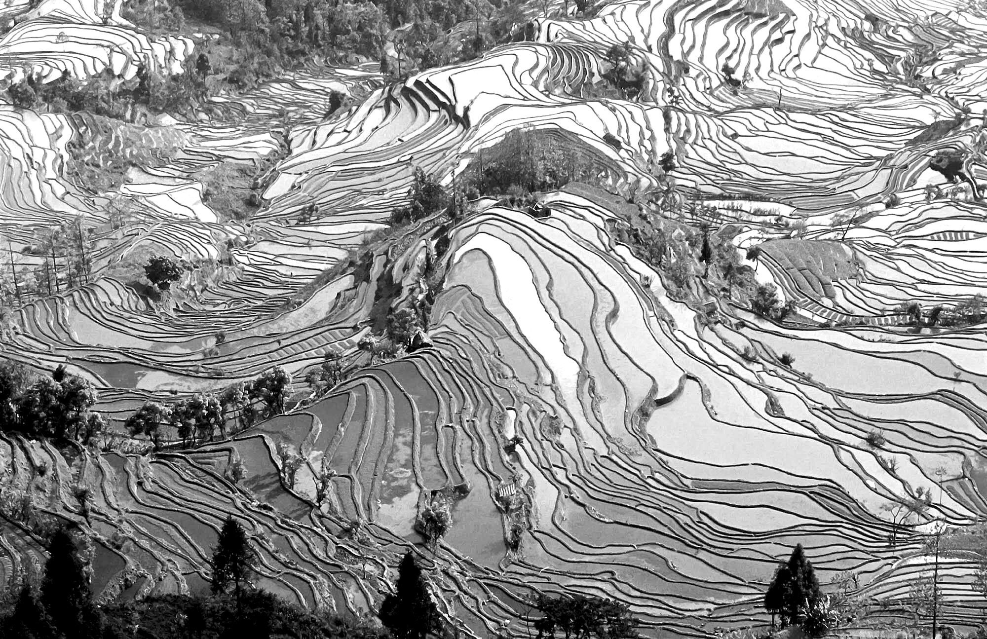 Other Practice Areas