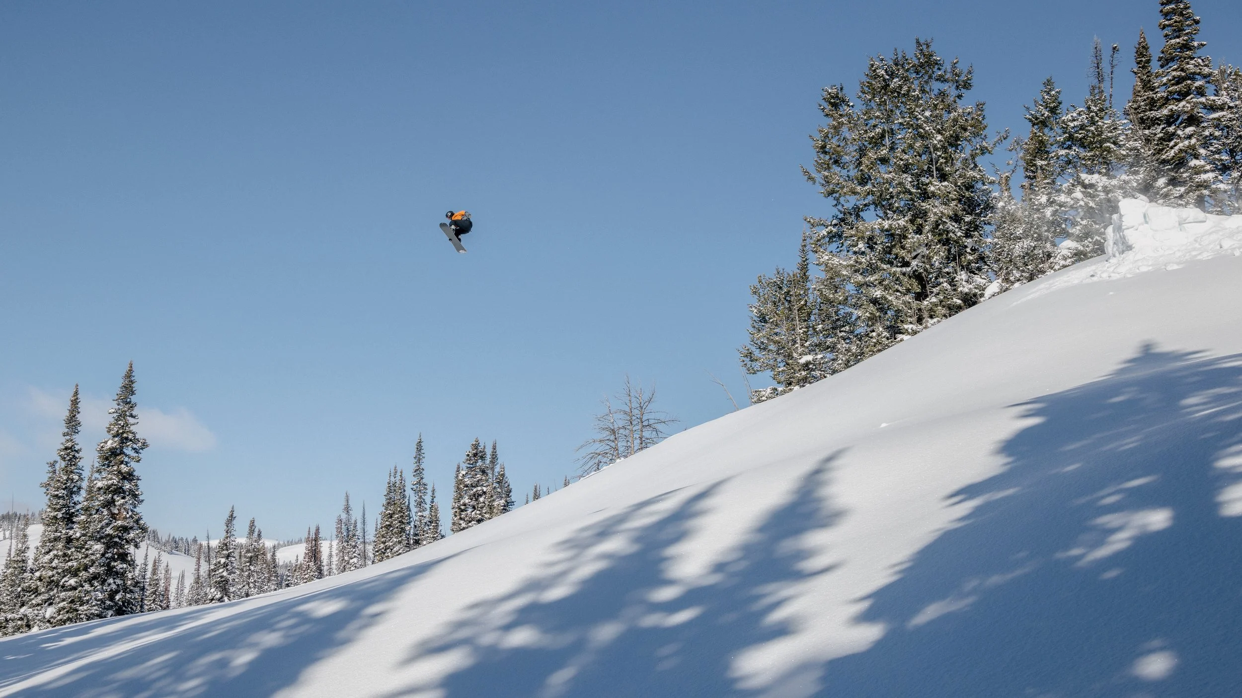 A skier performing a freestyle jump off a snow-covered slope in a forested mountain area with evergreen trees and a clear blue sky.