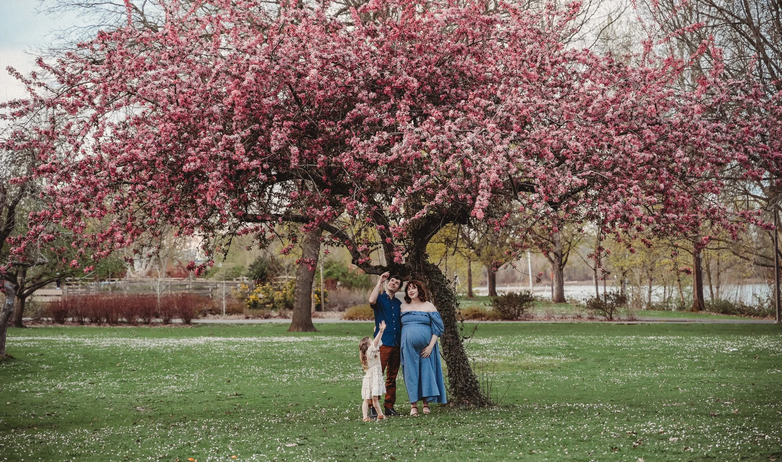 Cherry Blossom Trees Spring Minis at Mt. Tabor, Portland, OR
