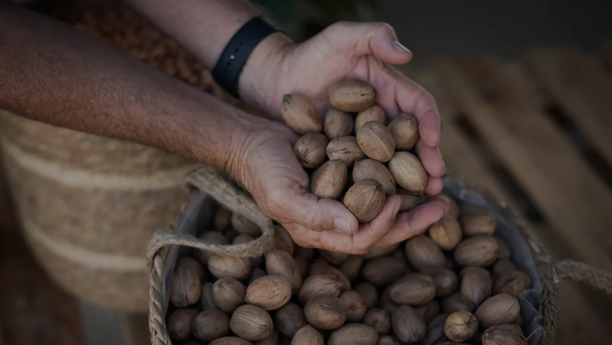 SA Pecans image (2049 x 1156 px) with overlay.webp