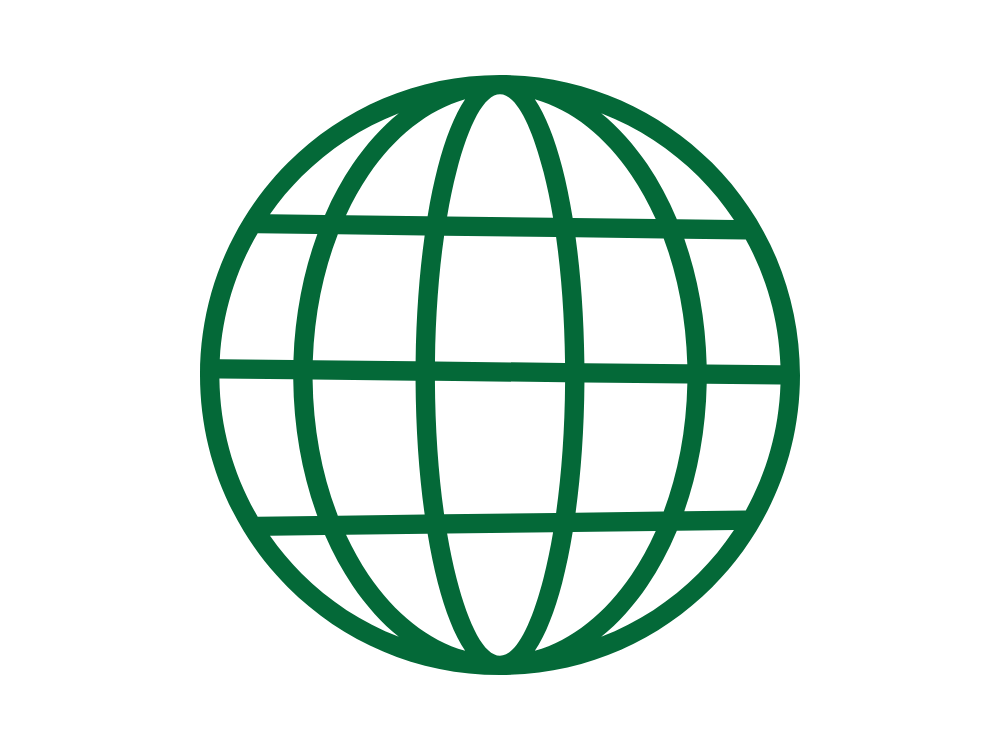 A green globe icon with grid lines on a black background.