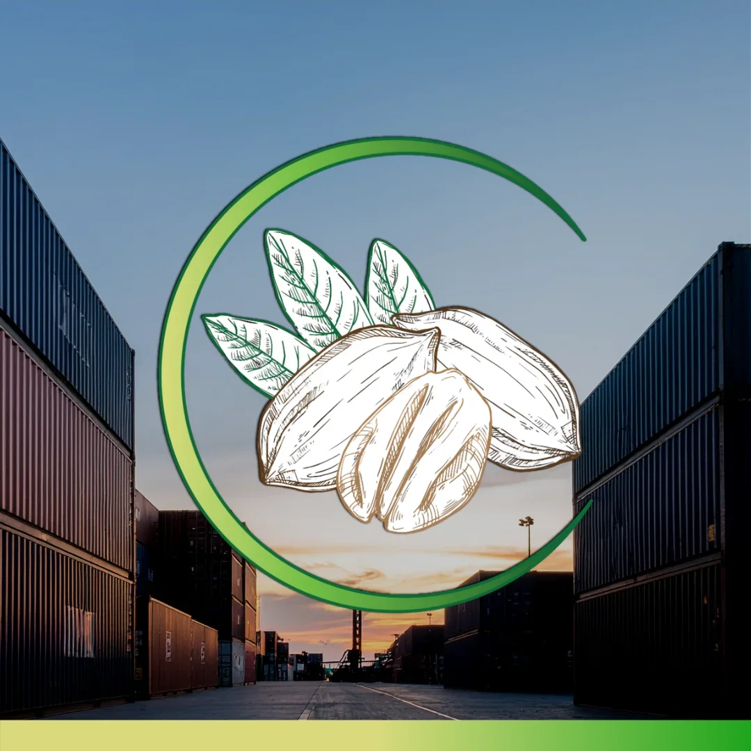 Illustration of coffee beans and leaves over a container yard at sunset.