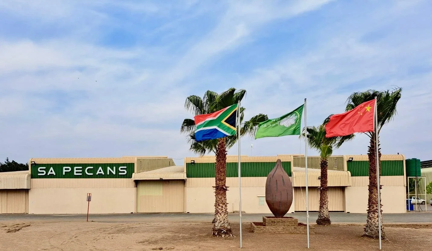 View of SA Pecans warehouse with green sign, surrounded by three palm trees with flags of South Africa, Nigeria, and China, and a large pecan nut sculpture in front