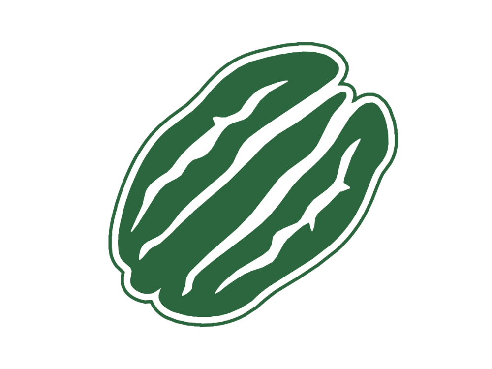 Illustration of a green watermelon with white stripes.