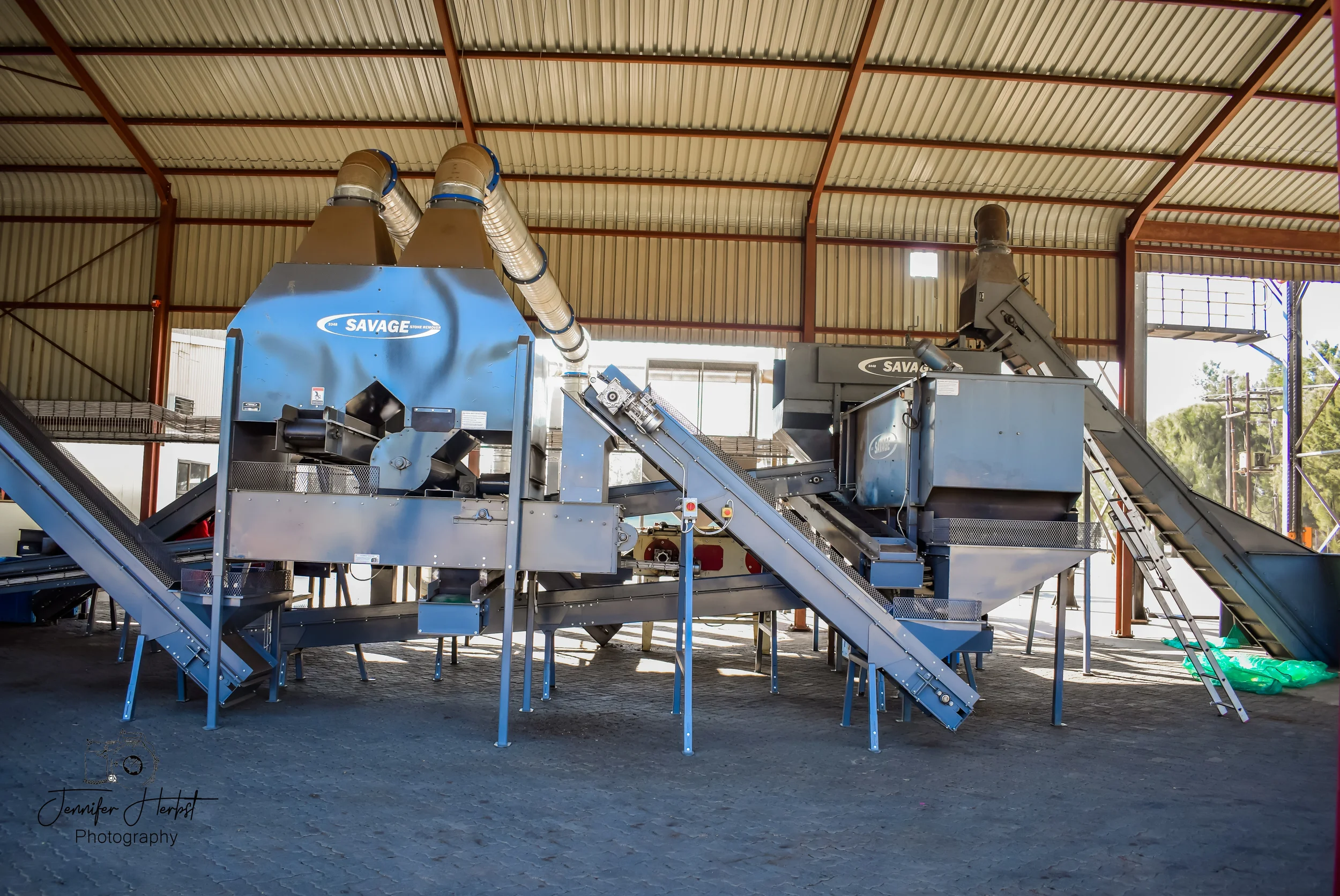 Advanced Cleaning & Size Sorting at SA Pecans