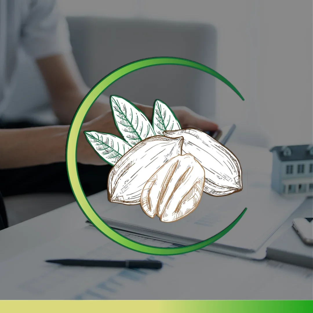 Illustration of coffee beans and leaves overlayed on a blurred office scene.