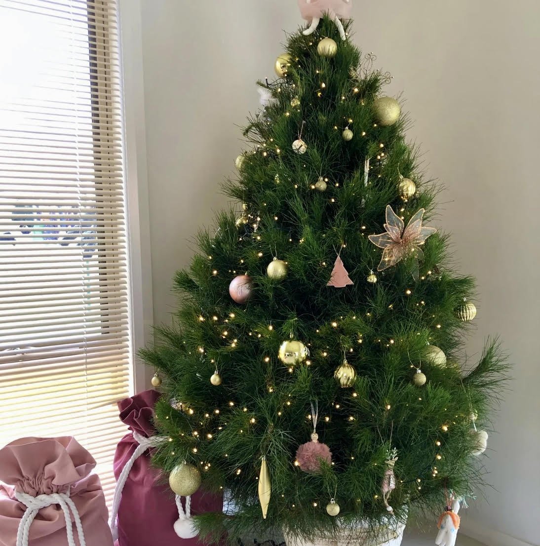 dressed tree.jpg