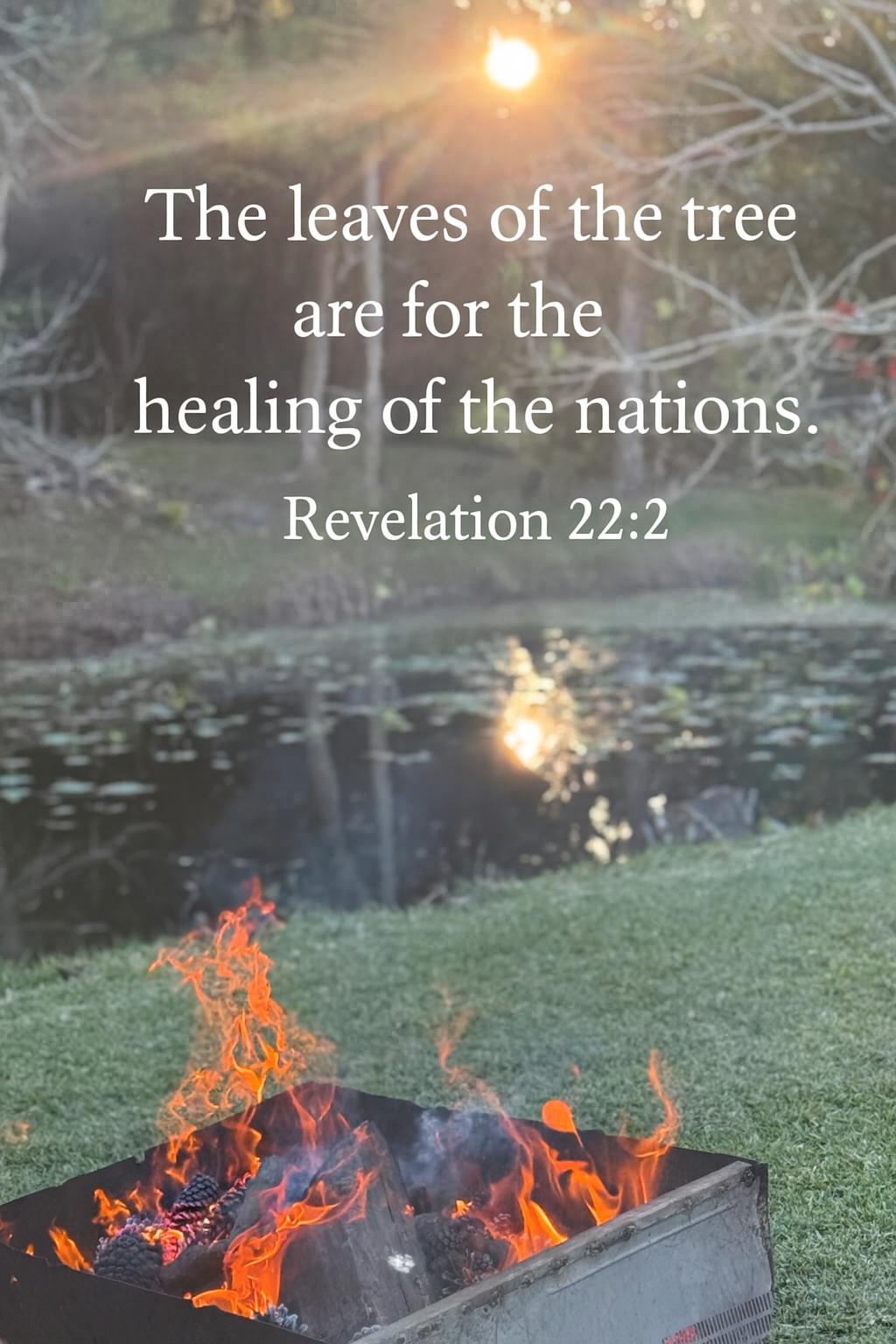 Finding God’s sun ☀️ with a side of 🔥 out in nature 🌱🍃🌿