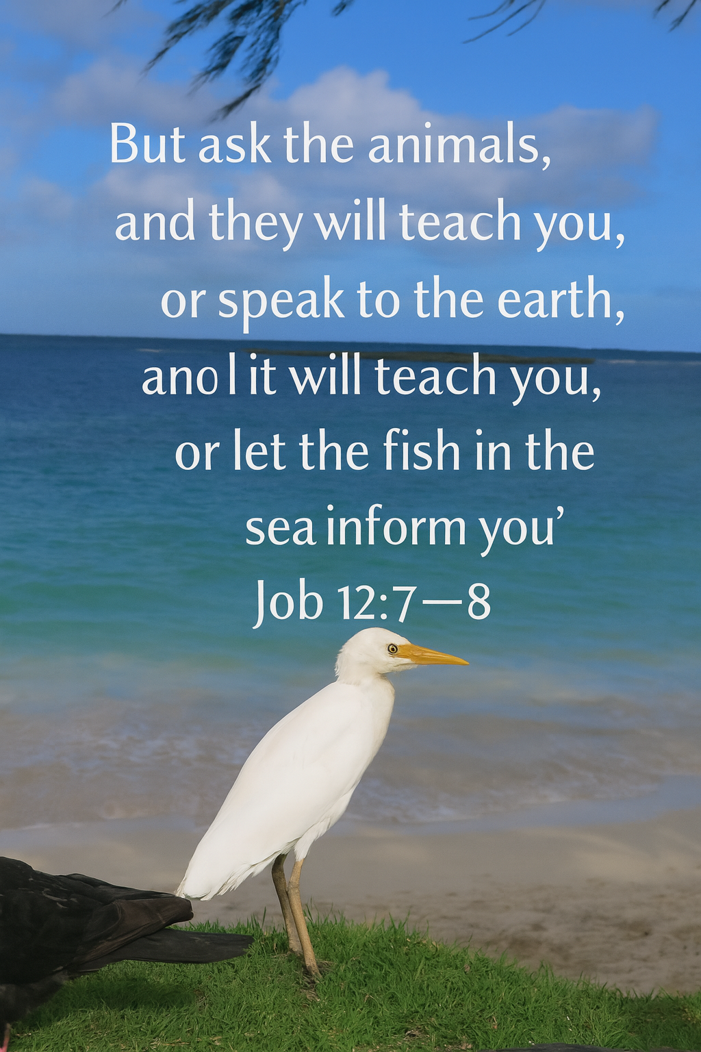 What a Gift 🦅🫶💕 