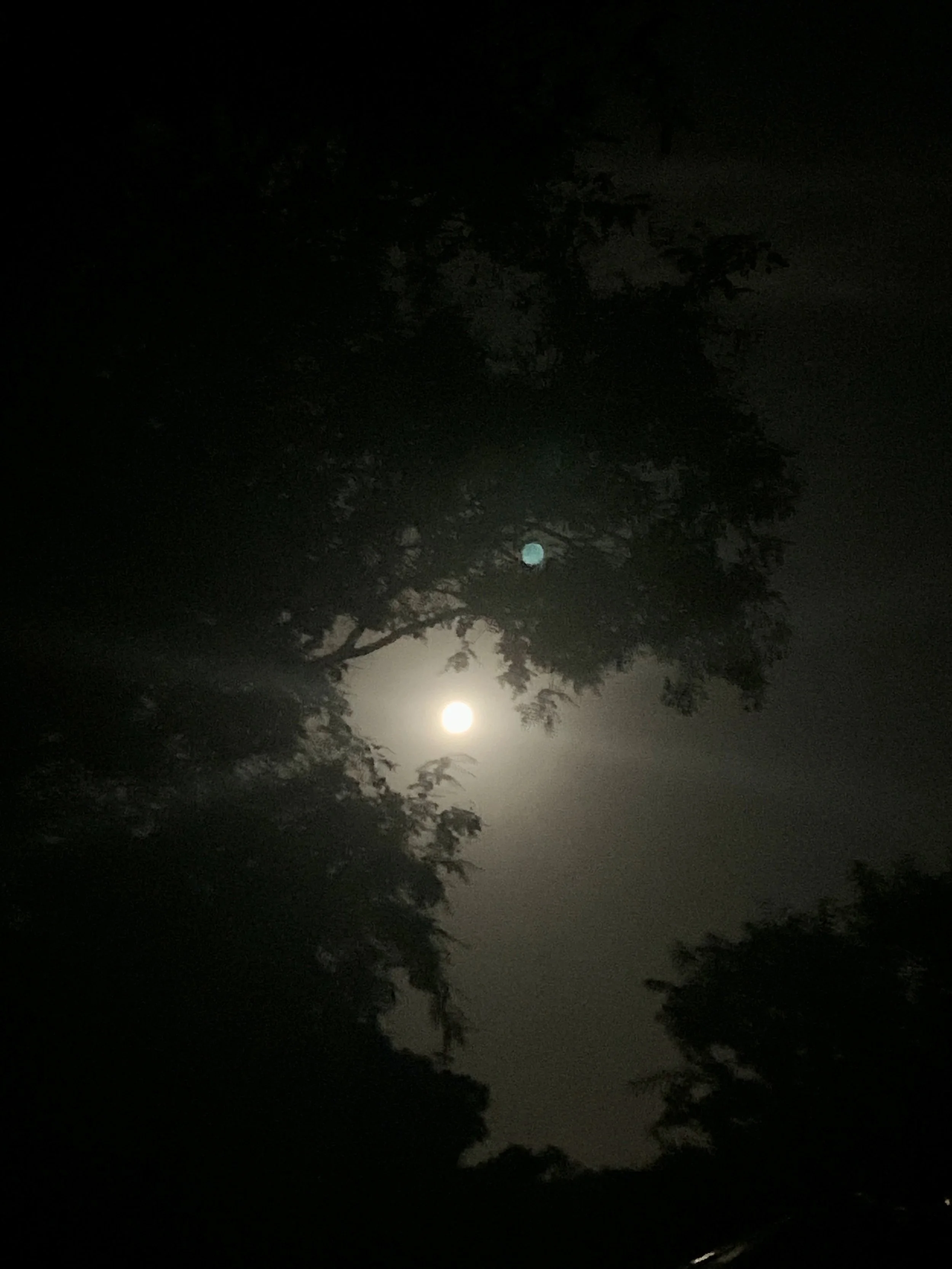 Time for release 🌚😱❤️