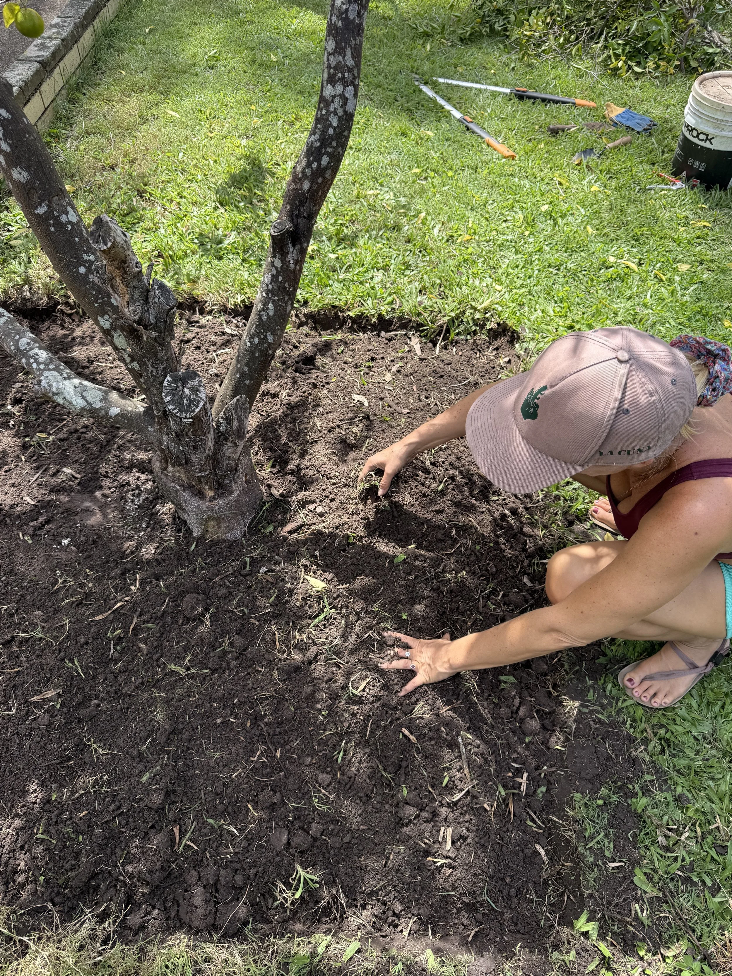 Giving Back 🍞🌳🍋