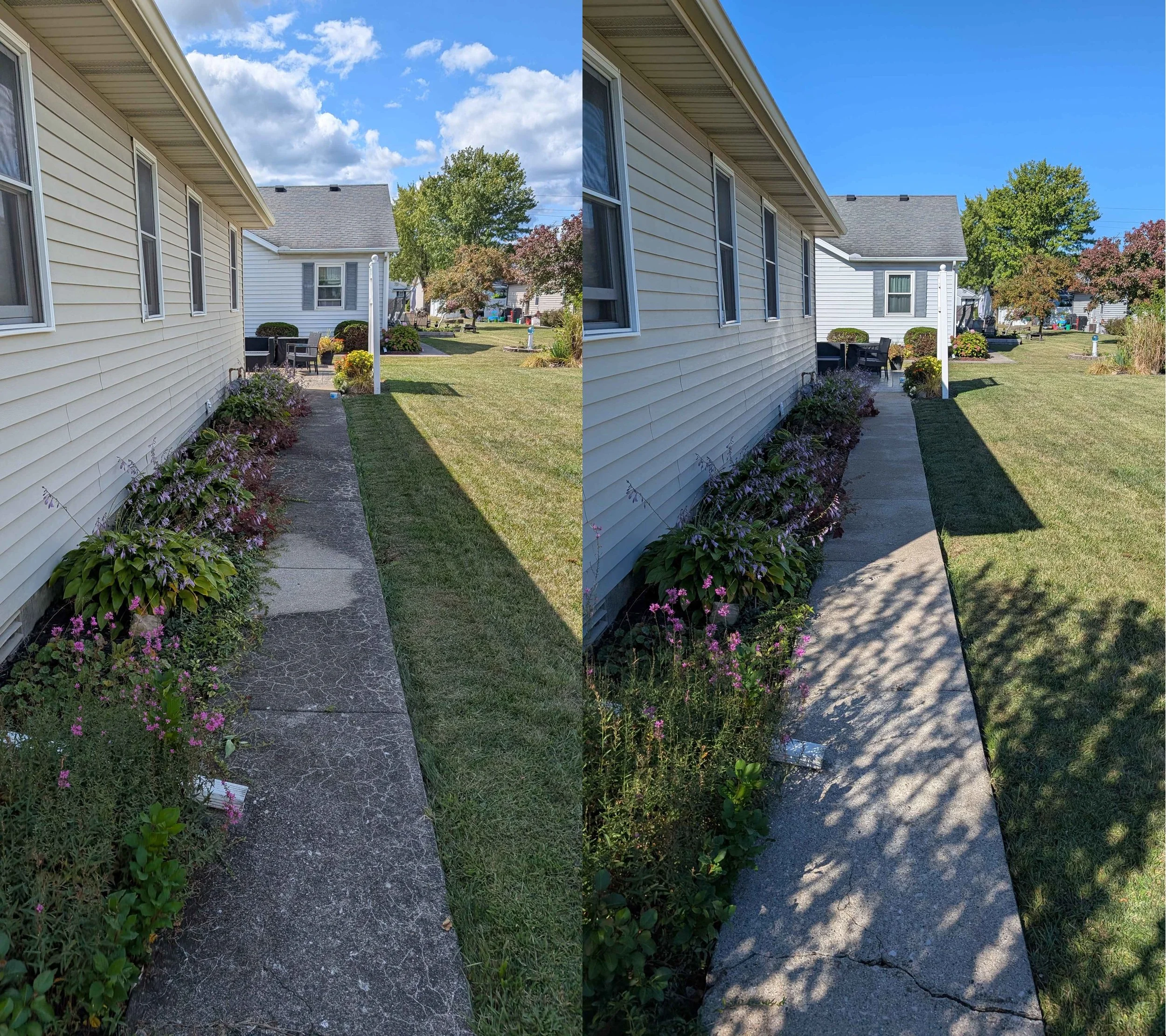back_1_before_after.jpg
