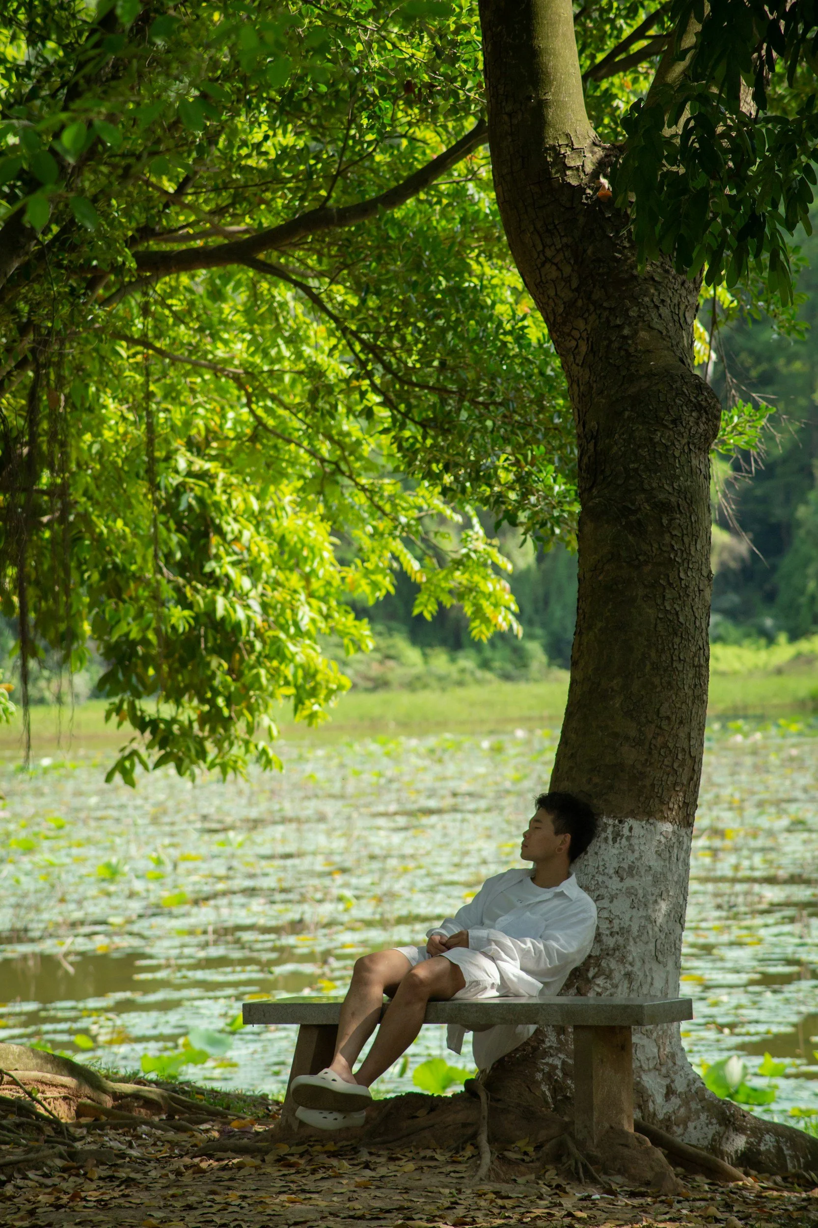 Why Choosing an EMDR Therapist in Charlotte, NC Can Change the Way You Heal Trauma