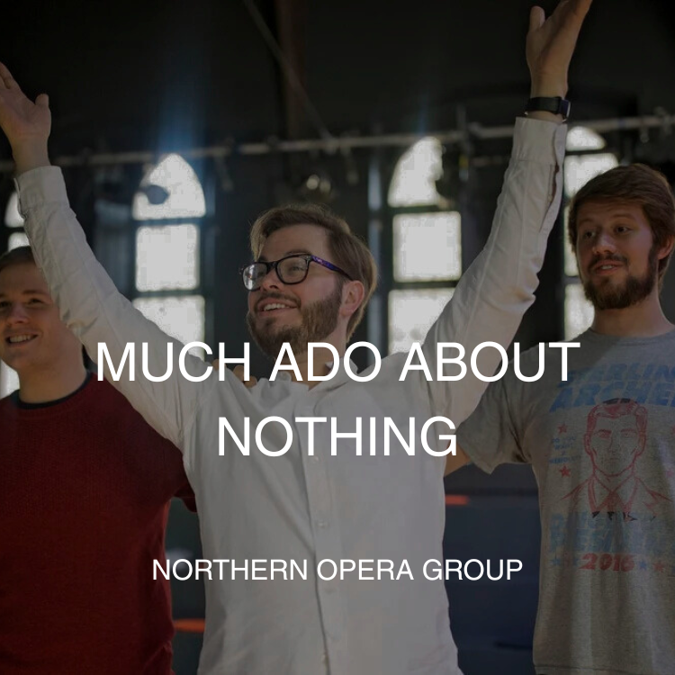 Much ado about nothing | Northern Opera Group