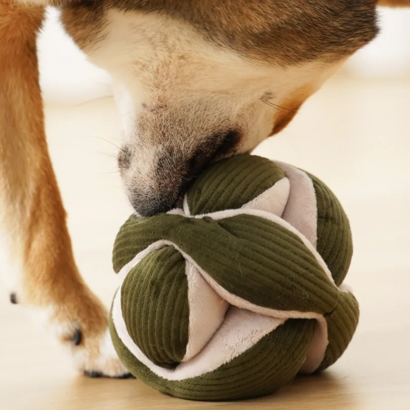 Hundespielzeug PAWS - Shop & Groom