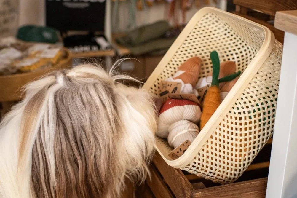 Hundespielzeug PAWS - Shop & Groom