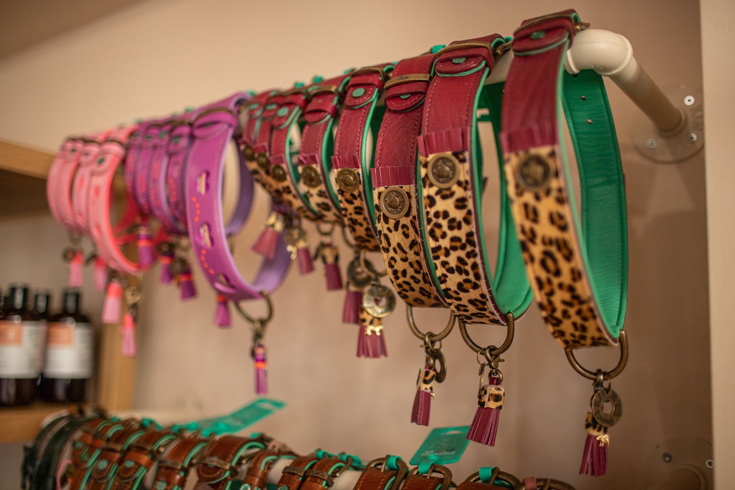 Lederhalsband und -leine PAWS - Shop & Groom