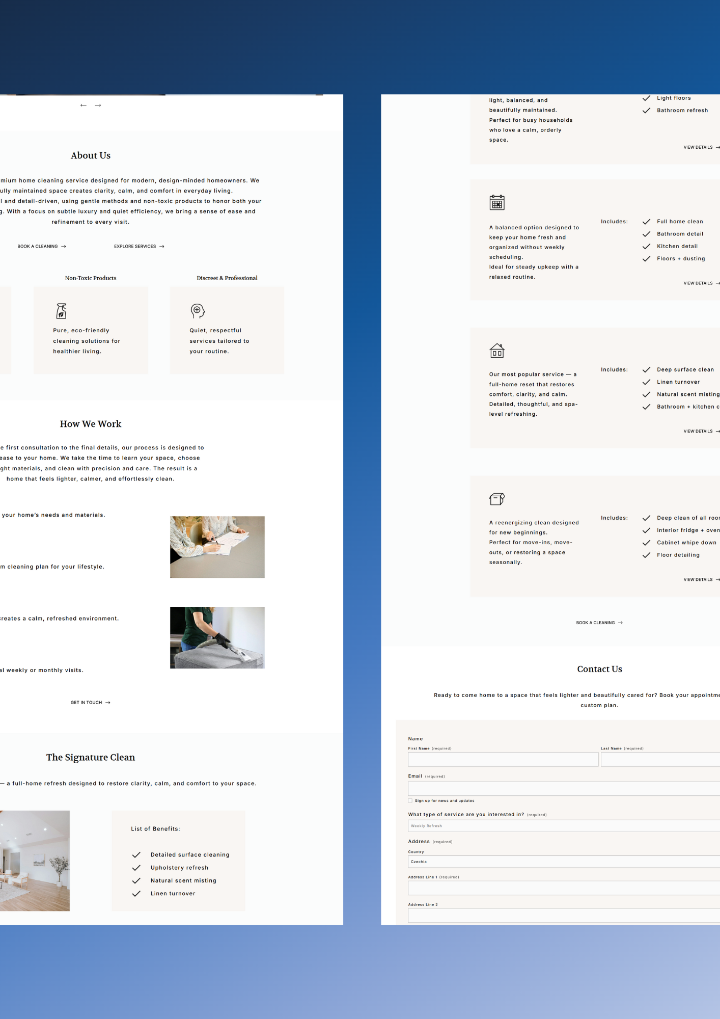 Cleaning Industry Design