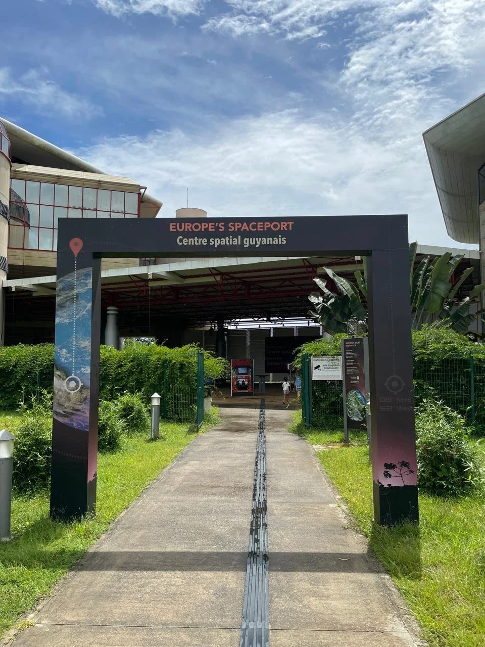 uitzicht-gunsi-palmbomen