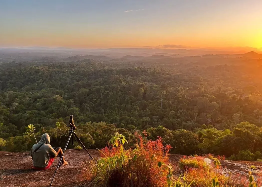uitzicht-gunsi-palmbomen