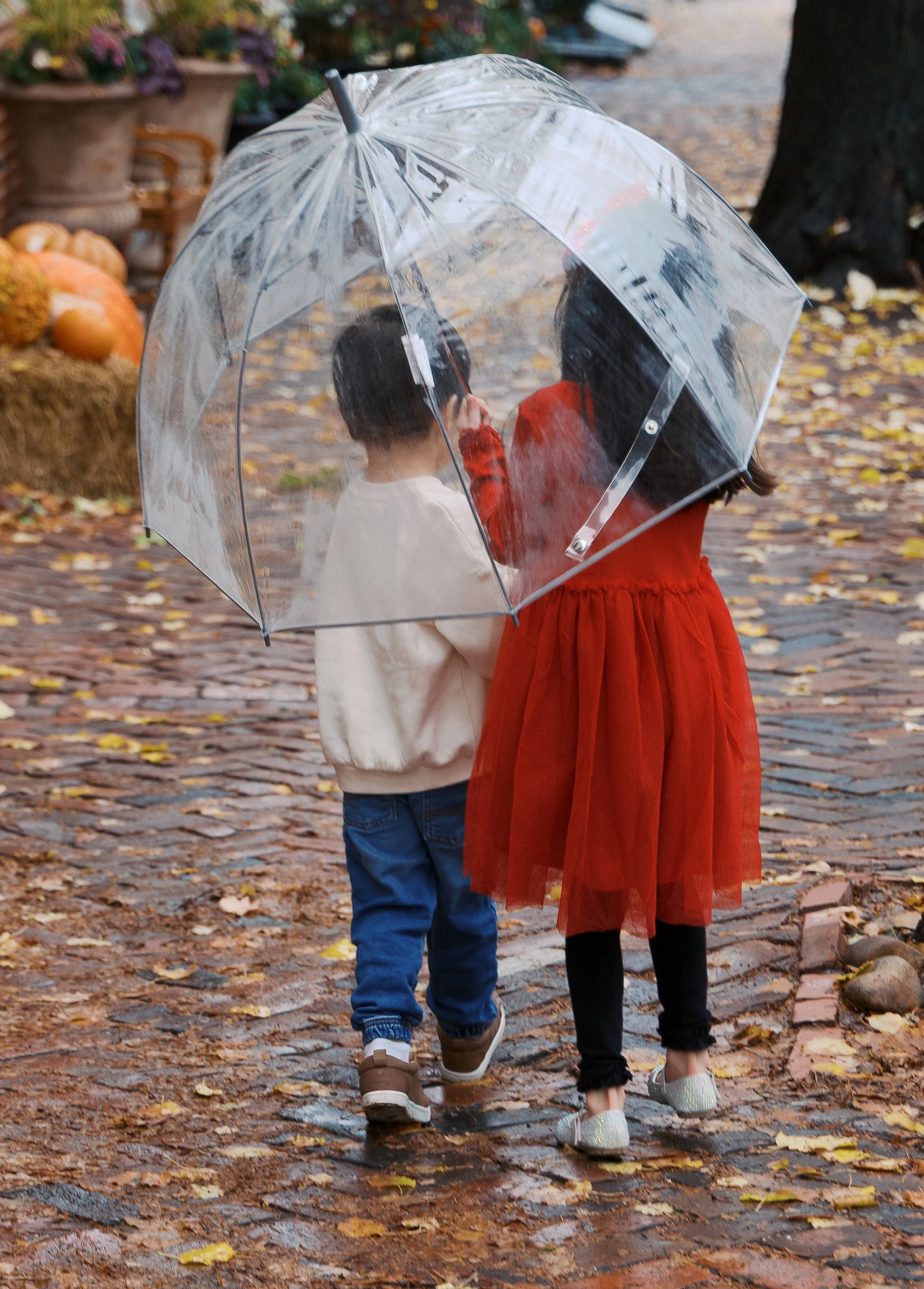 Herr Family_20251122_DFeehery_03190.jpg