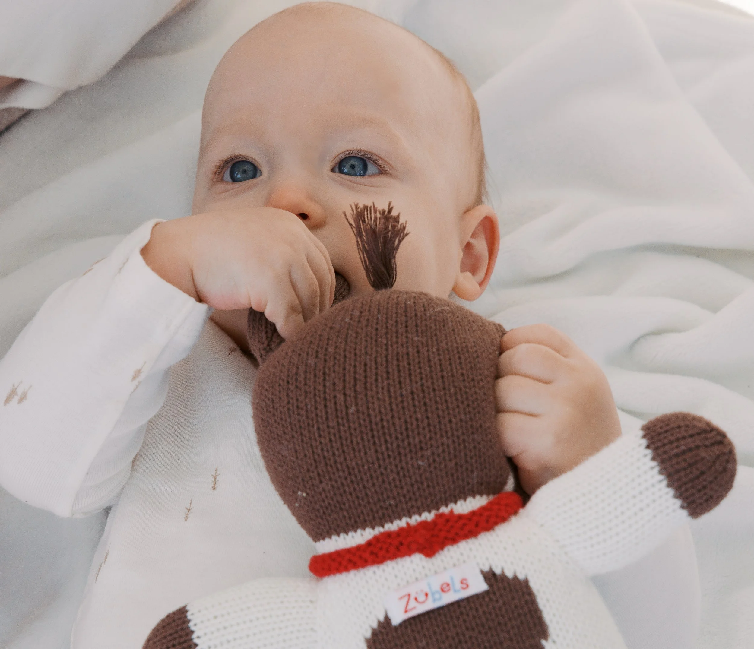 Southerland Family_20260203_DFeehery_06944.jpg