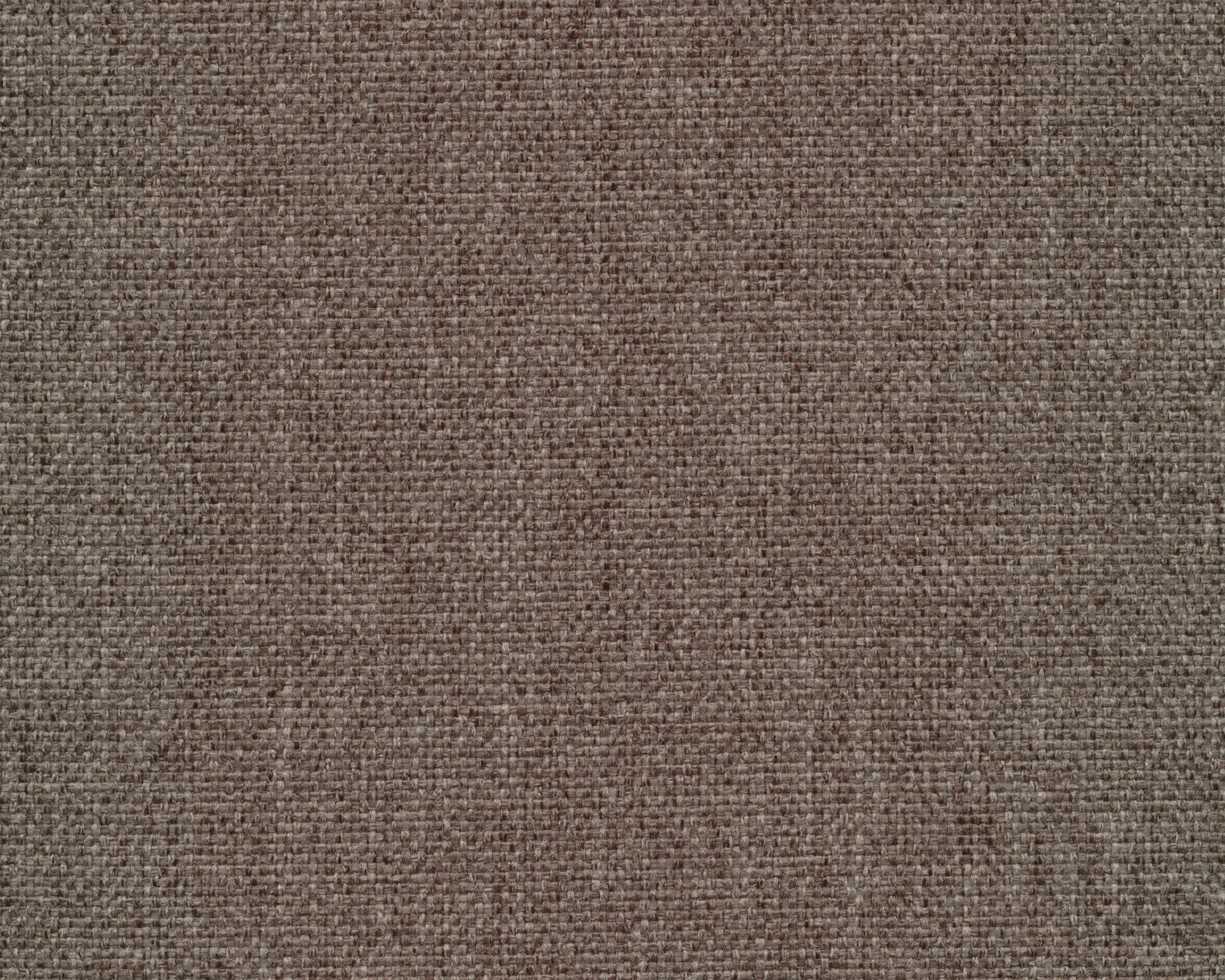 446 Taupe