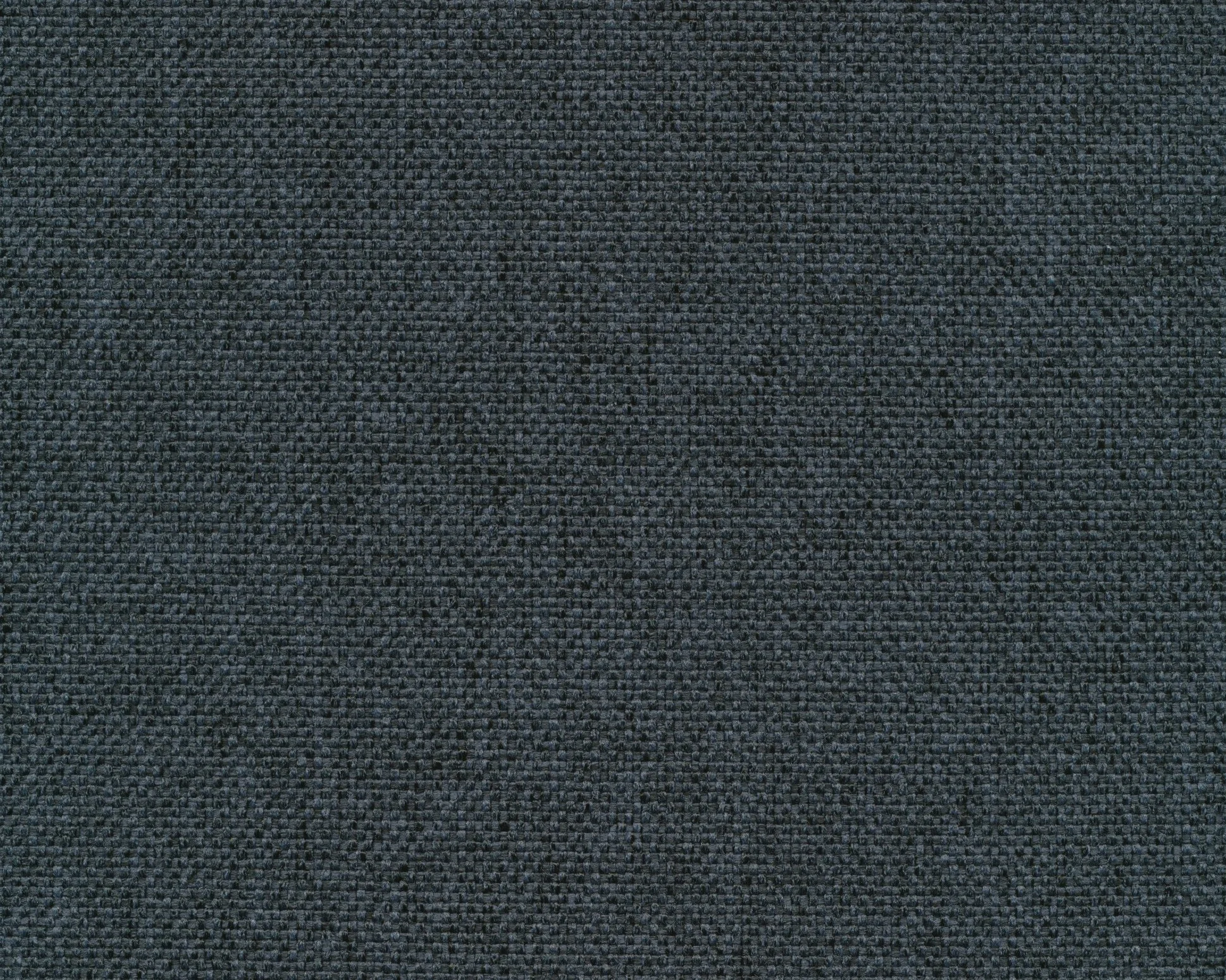 443 Indigo