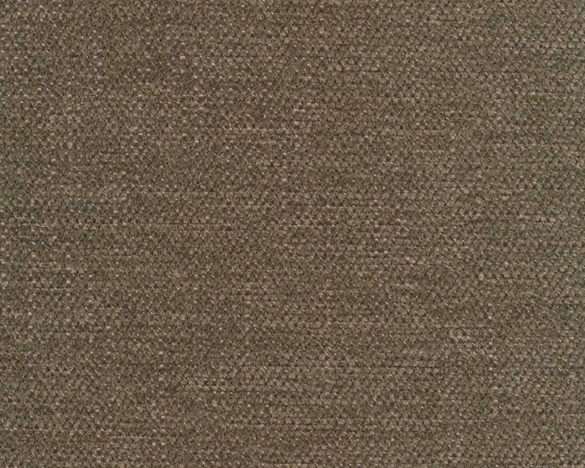 276 Olive