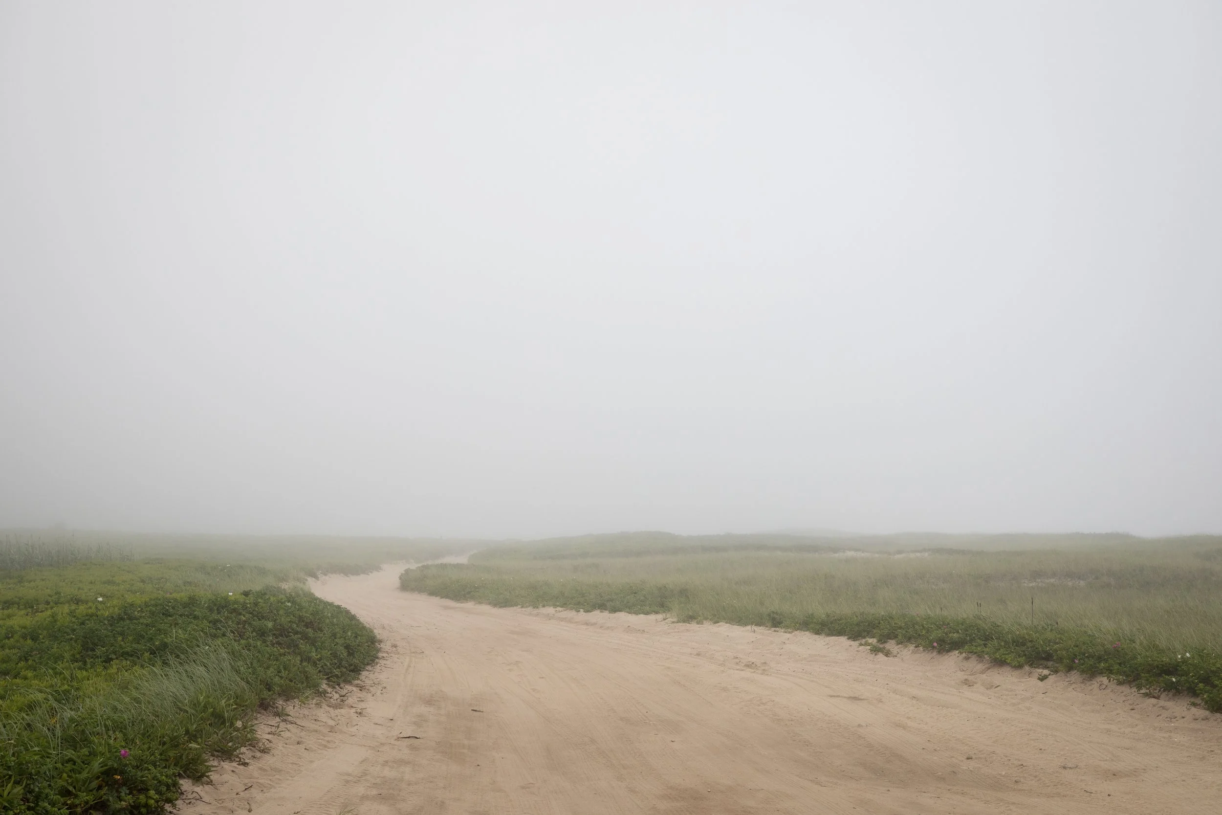 Foggy Path, Nantucket Island