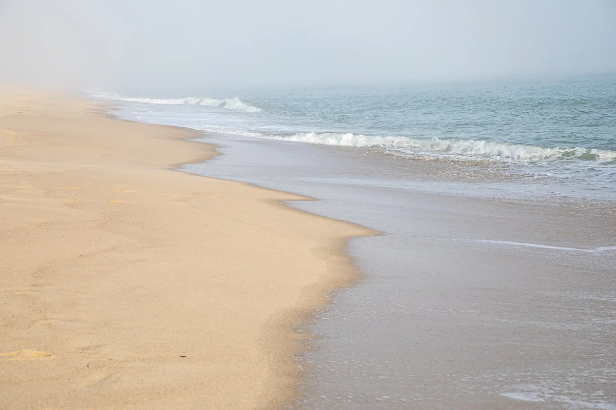 Madaket Coastline