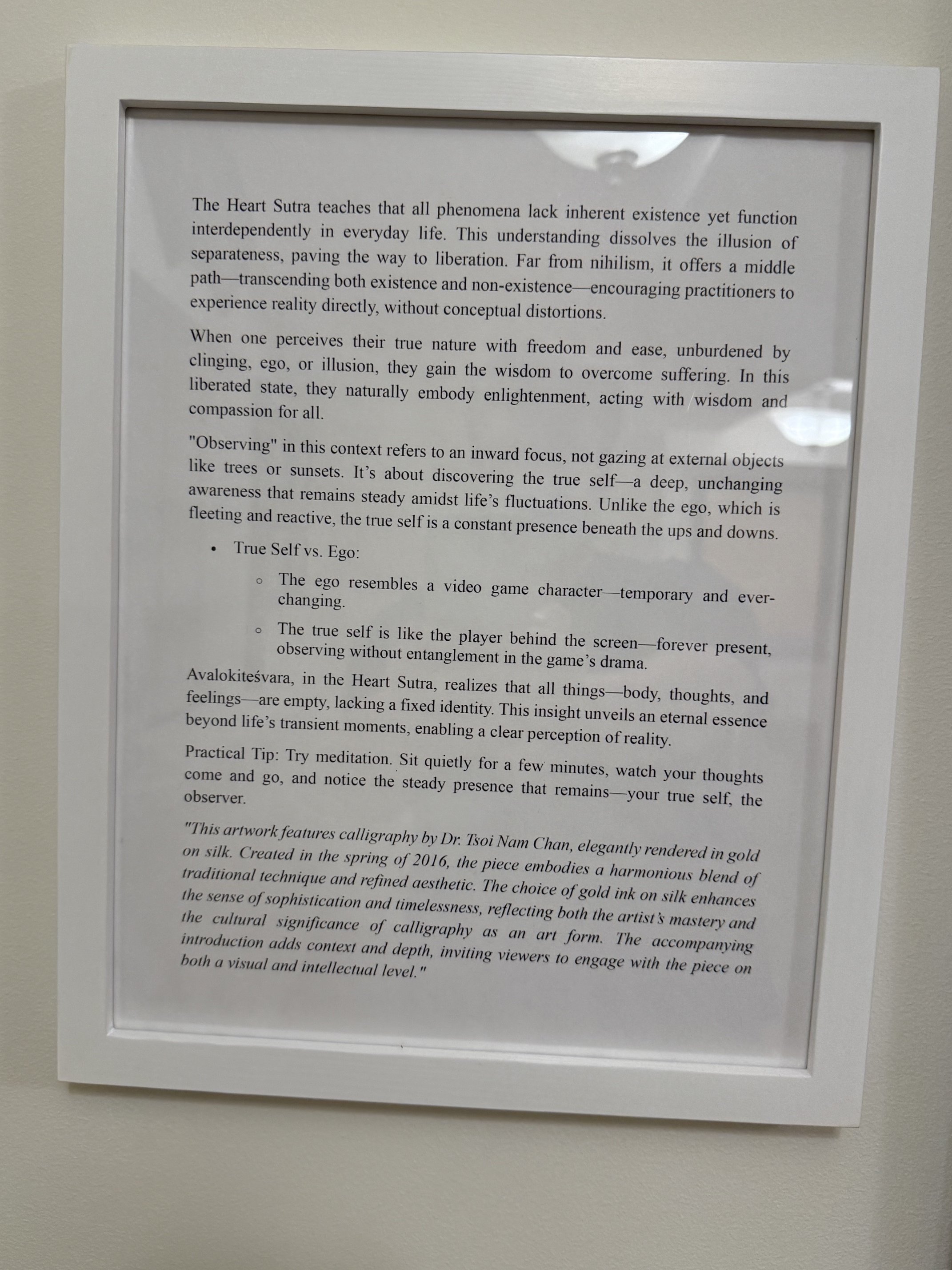Description of previous image